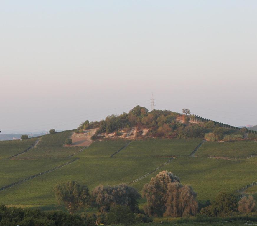 Castagnito Villa Vecchio المظهر الخارجي الصورة